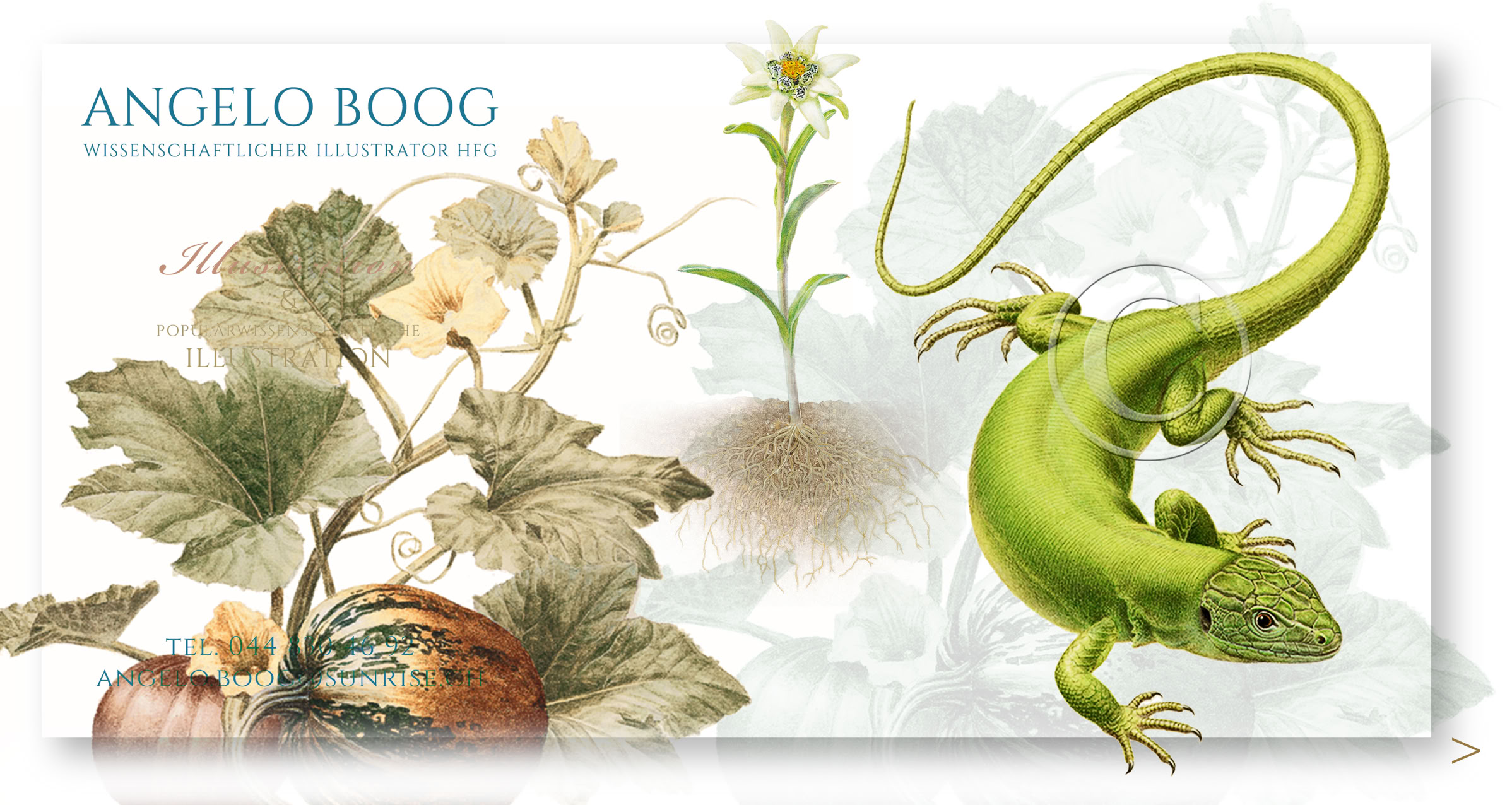 Wissenschaftliche Illustration Smaragdeidechse Edelweiss Kürbis