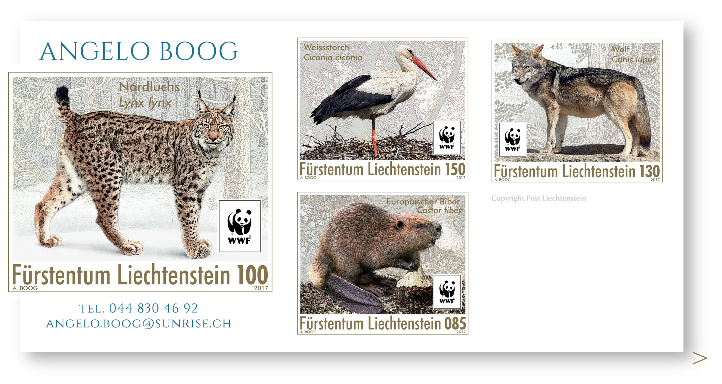 Wissenschaftliche Illustration Luchs Bieber Storch Wolf