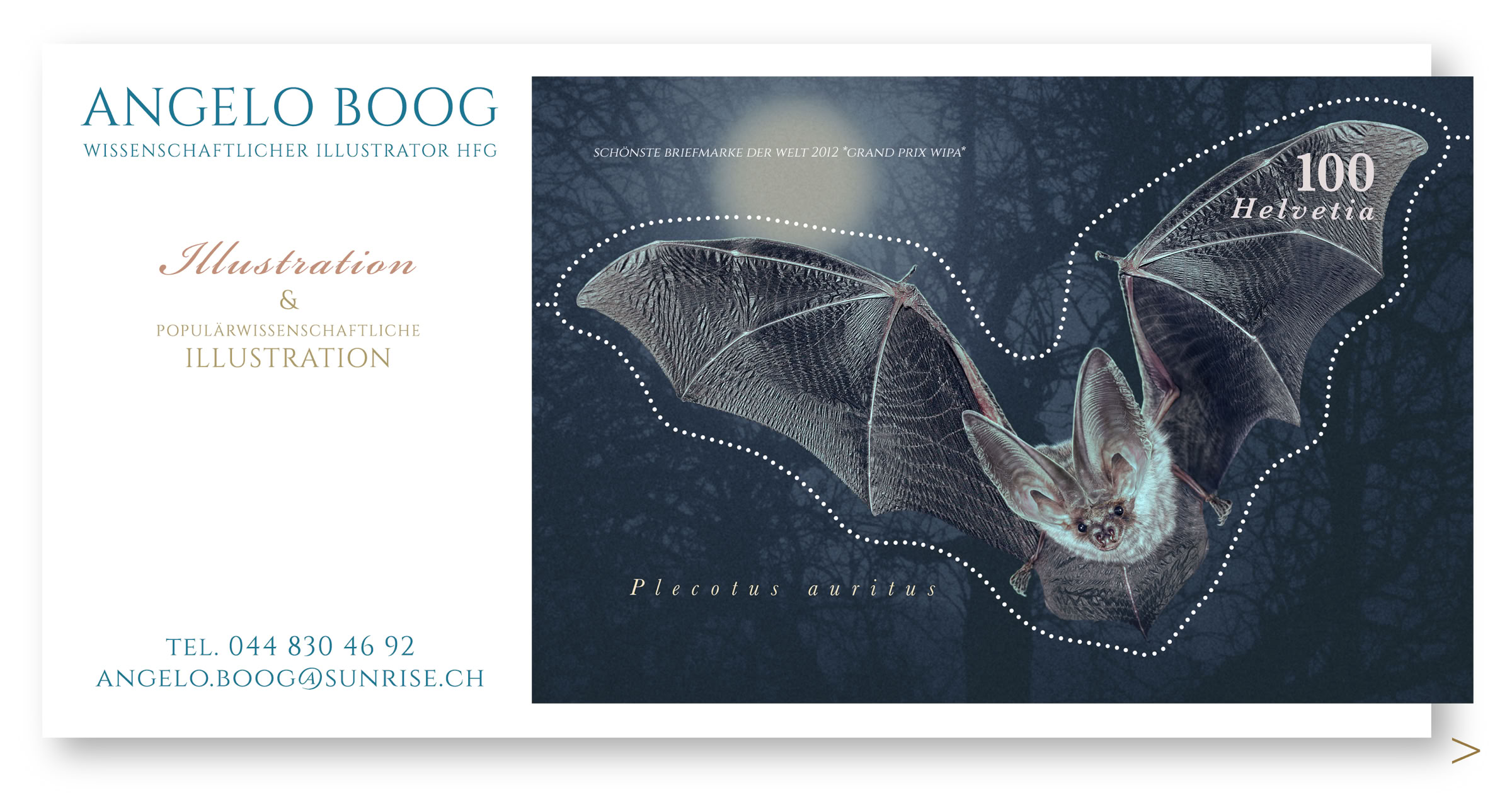 Portrait ZeichnWissenschaftliche Illustration Philatelie Fledermausung Aquarell 