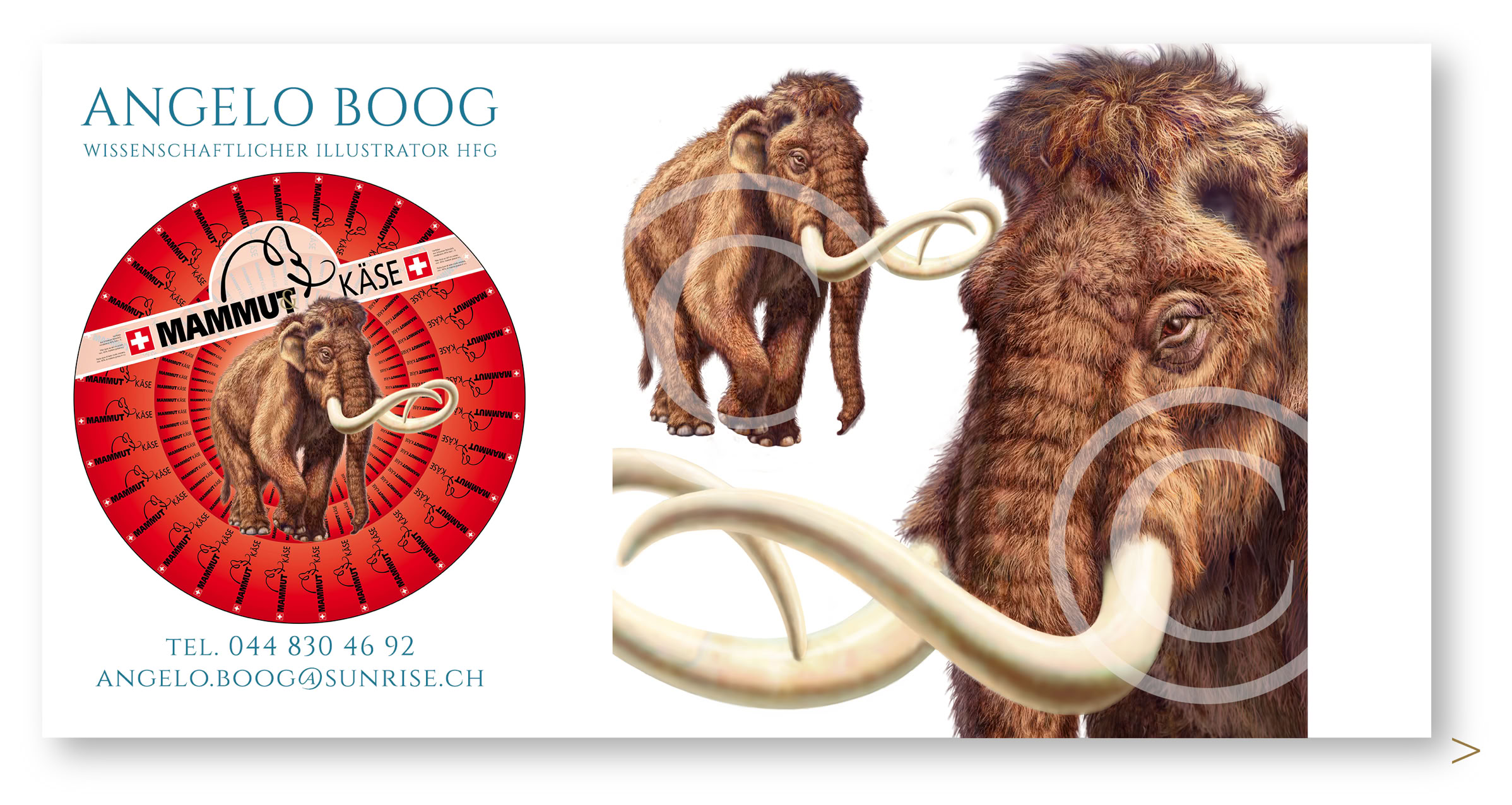 Wissenschaftliche Illustration Mammut Paläontologie