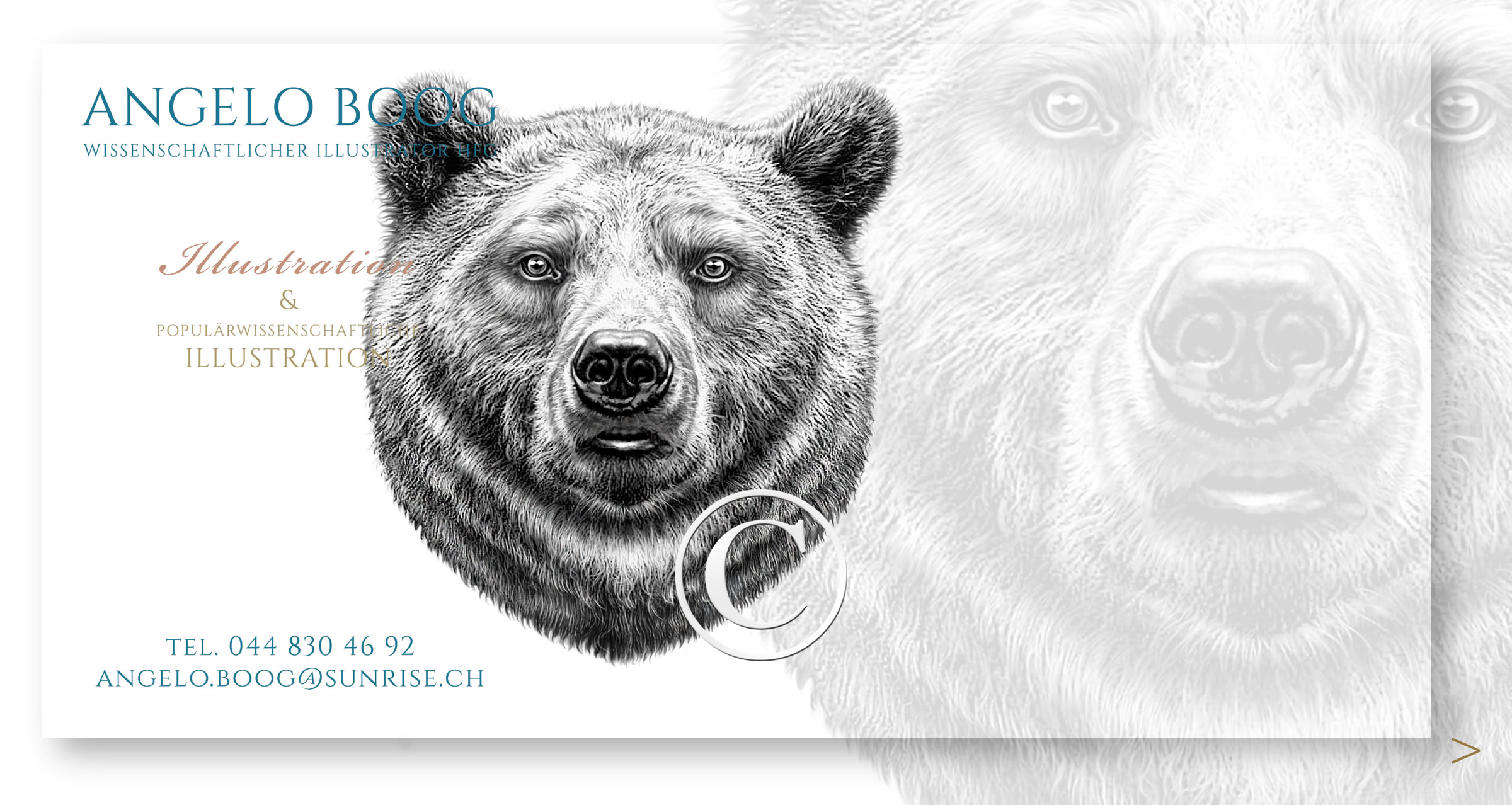 Portrait Zeichnung  Filmstar Schönheit Schmuck